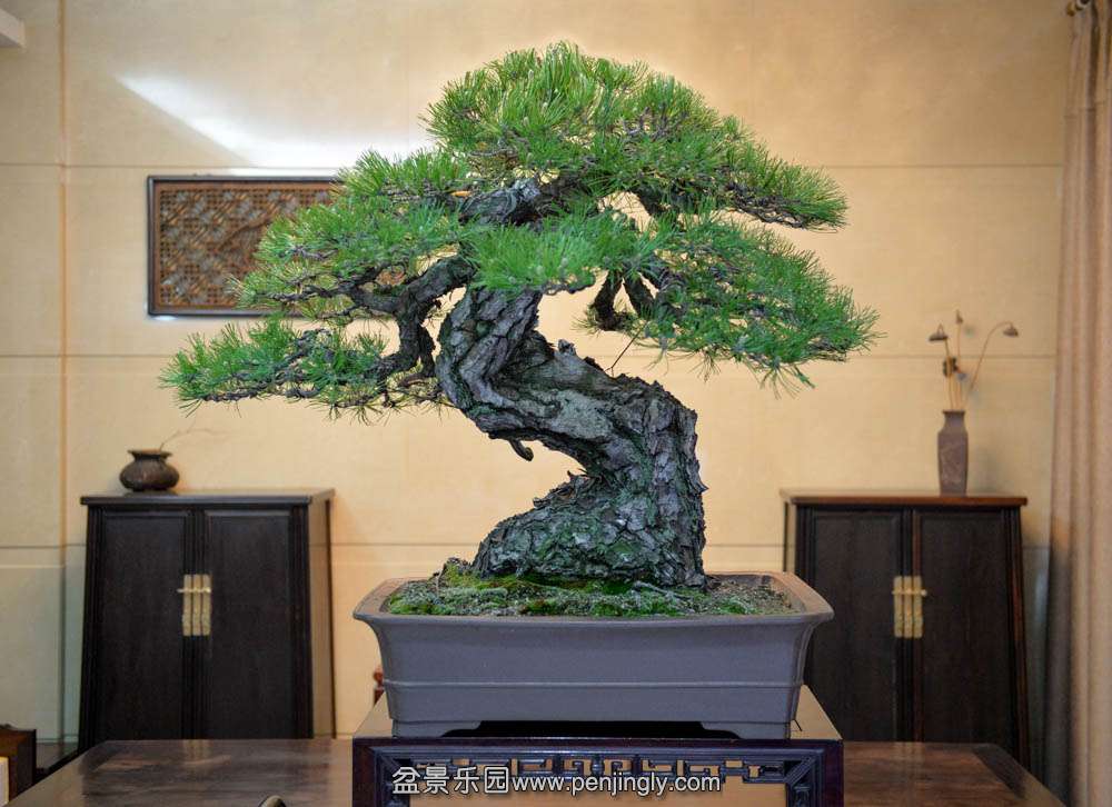 ������������ (3).jpg