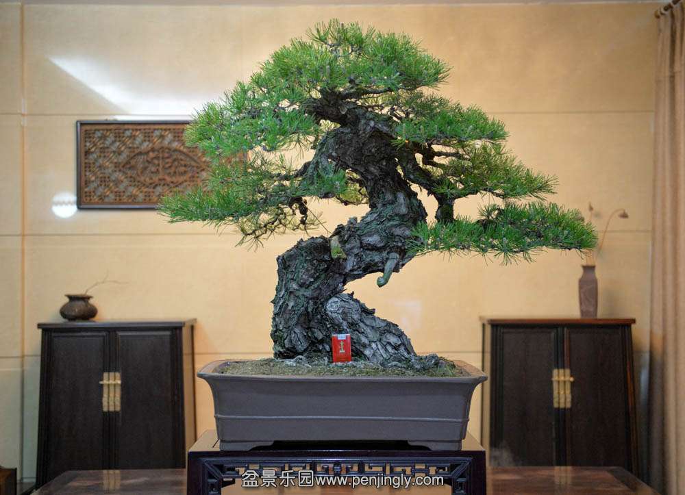 ������������ (2).jpg