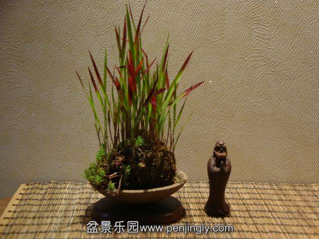 DSC00732.JPG