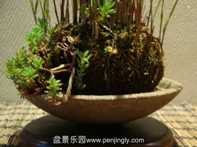 DSC00734.JPG