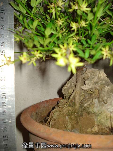 DSC00080.JPG