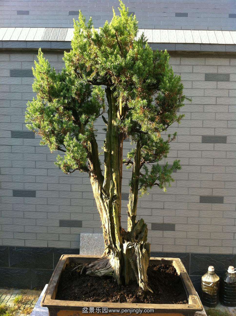 20120915̰.jpg
