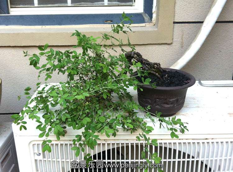 2015-04-26 173546.jpg