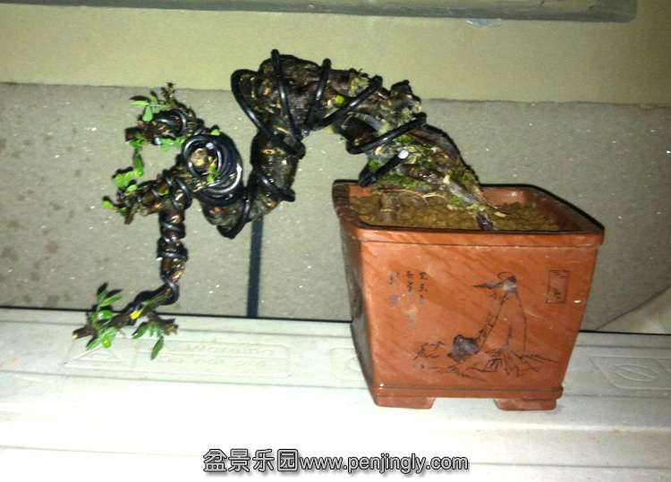 2015-04-27 195459.jpg