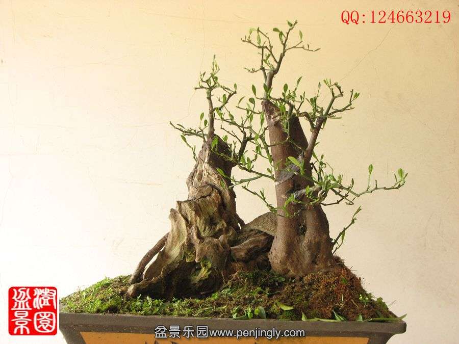 IMG_0588__.jpg