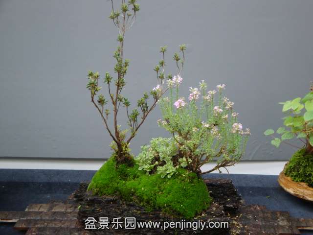 DSC00644.JPG