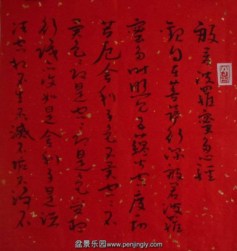 DSCN4857.JPG