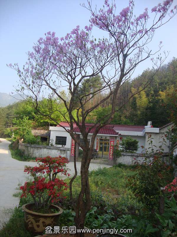 DSC03346_.jpg