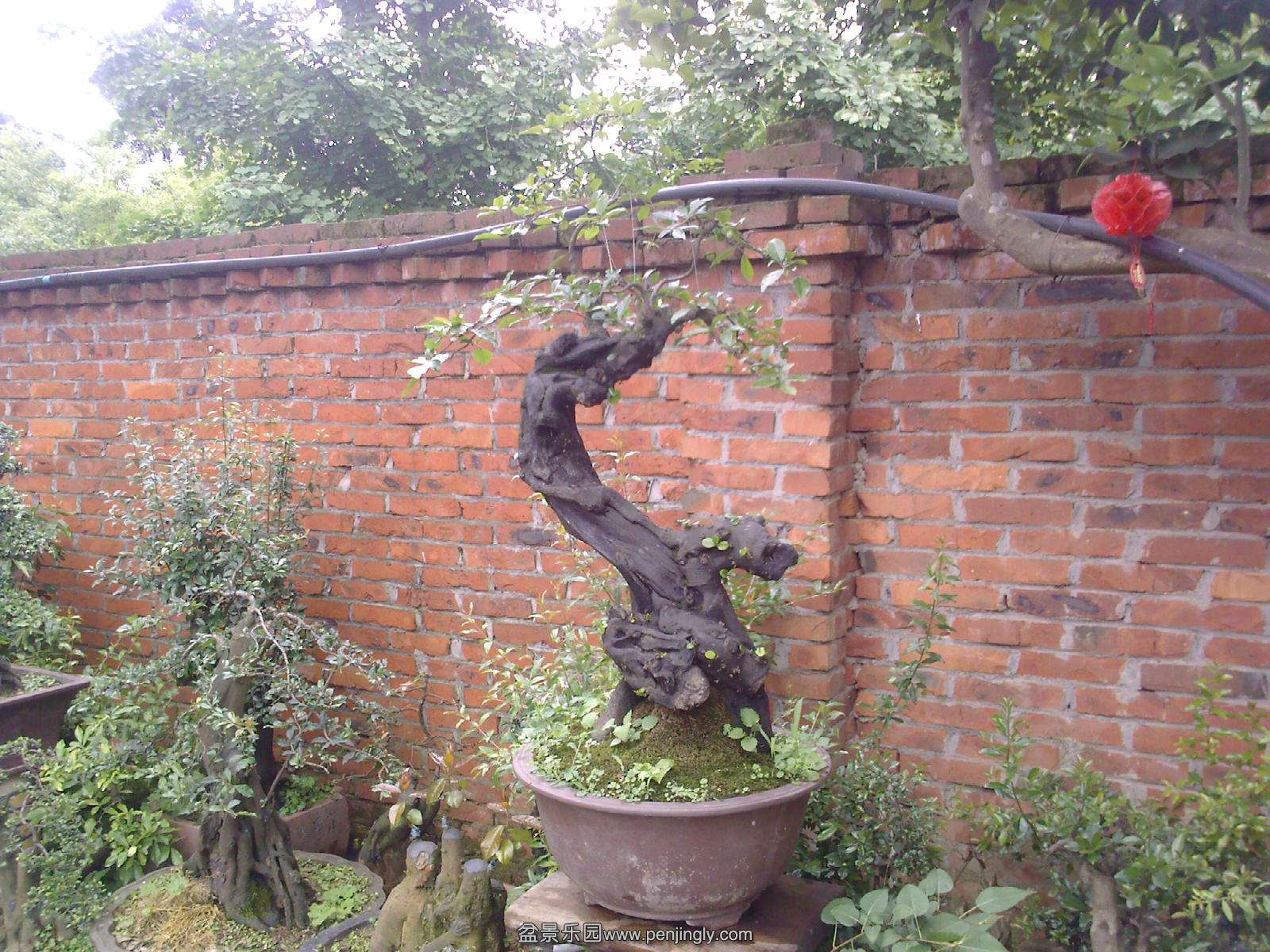 20150501113825.jpg