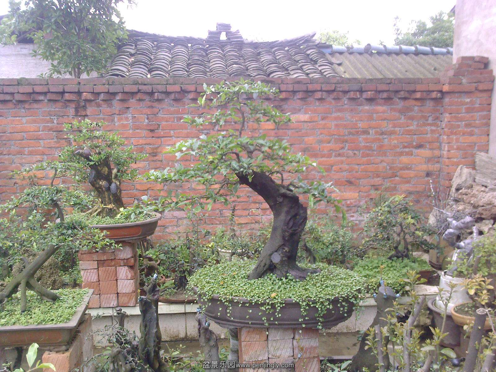20150501113955.jpg