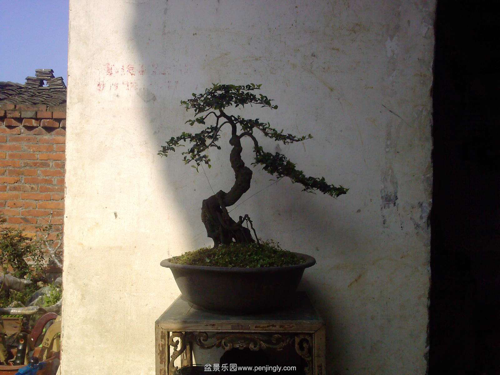 20150429164857.jpg