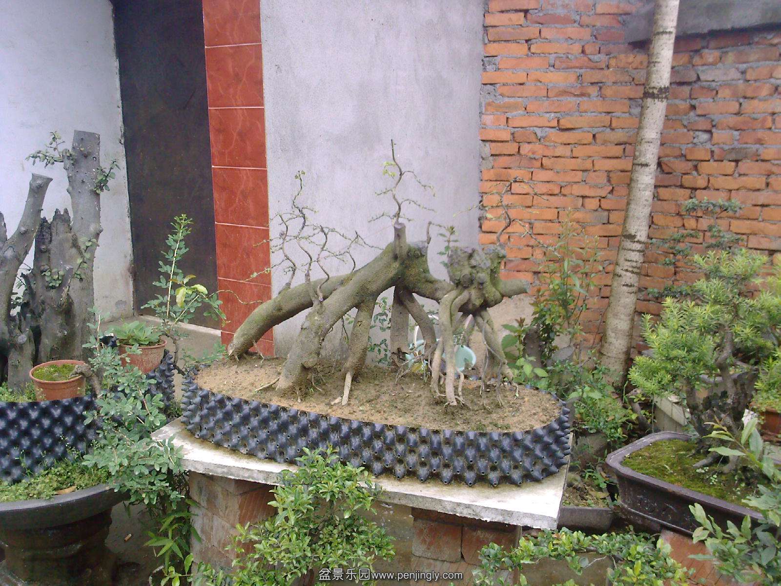 20150501113733.jpg
