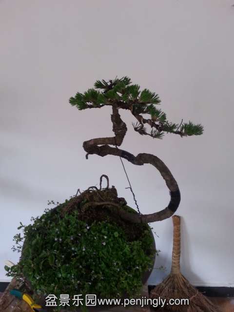 20150430_145013.jpg