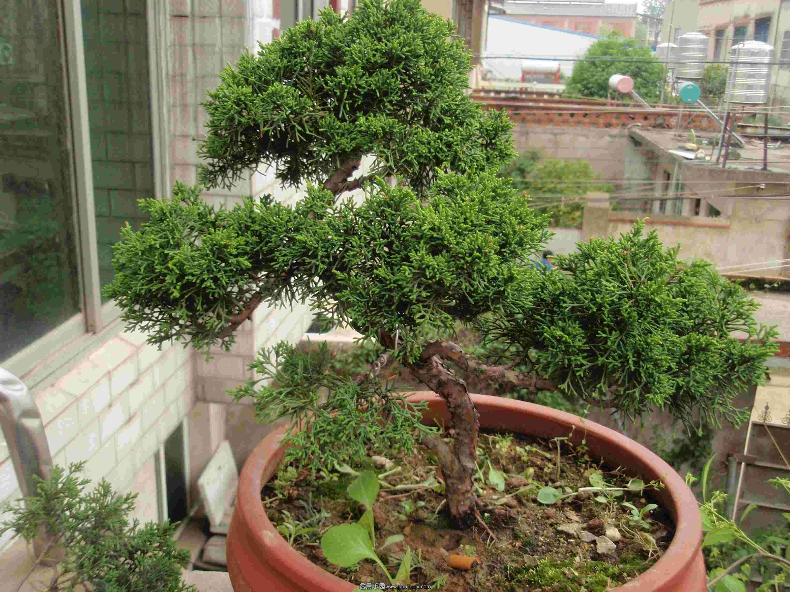 P1010033.JPG