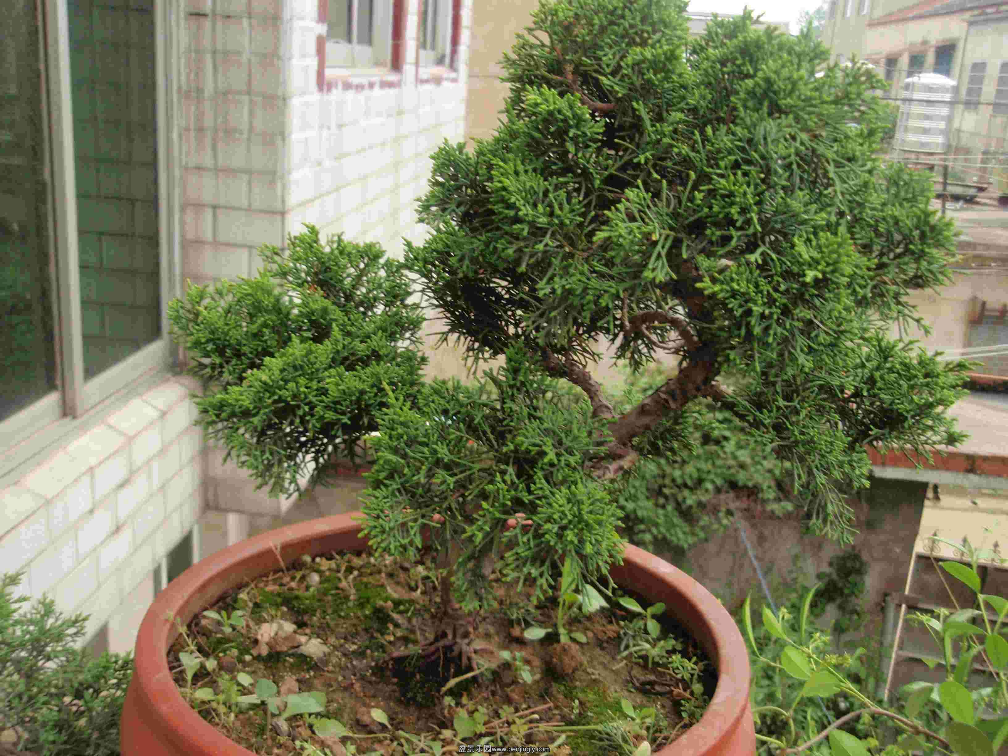P1010034.JPG