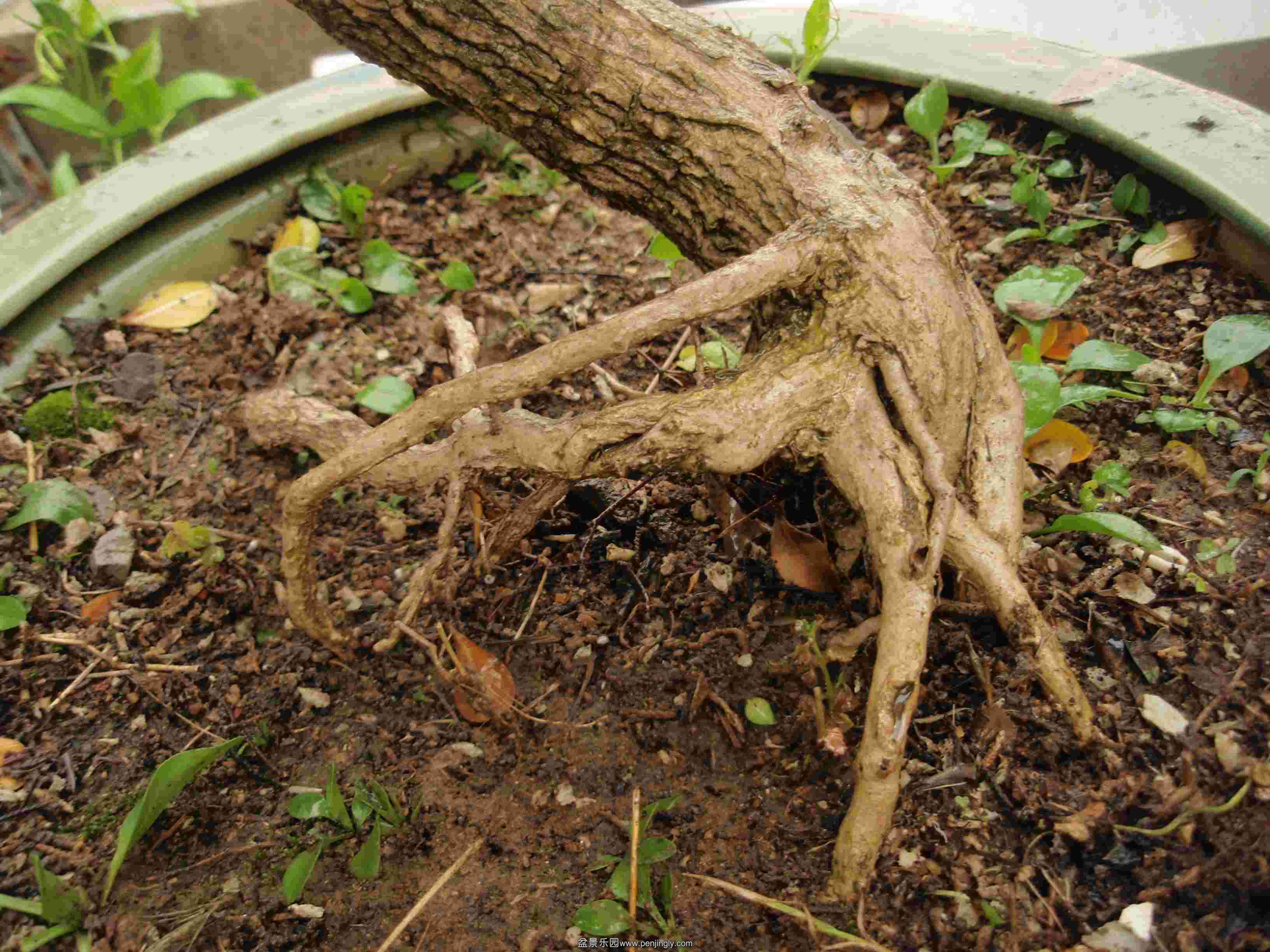 P1010037.JPG
