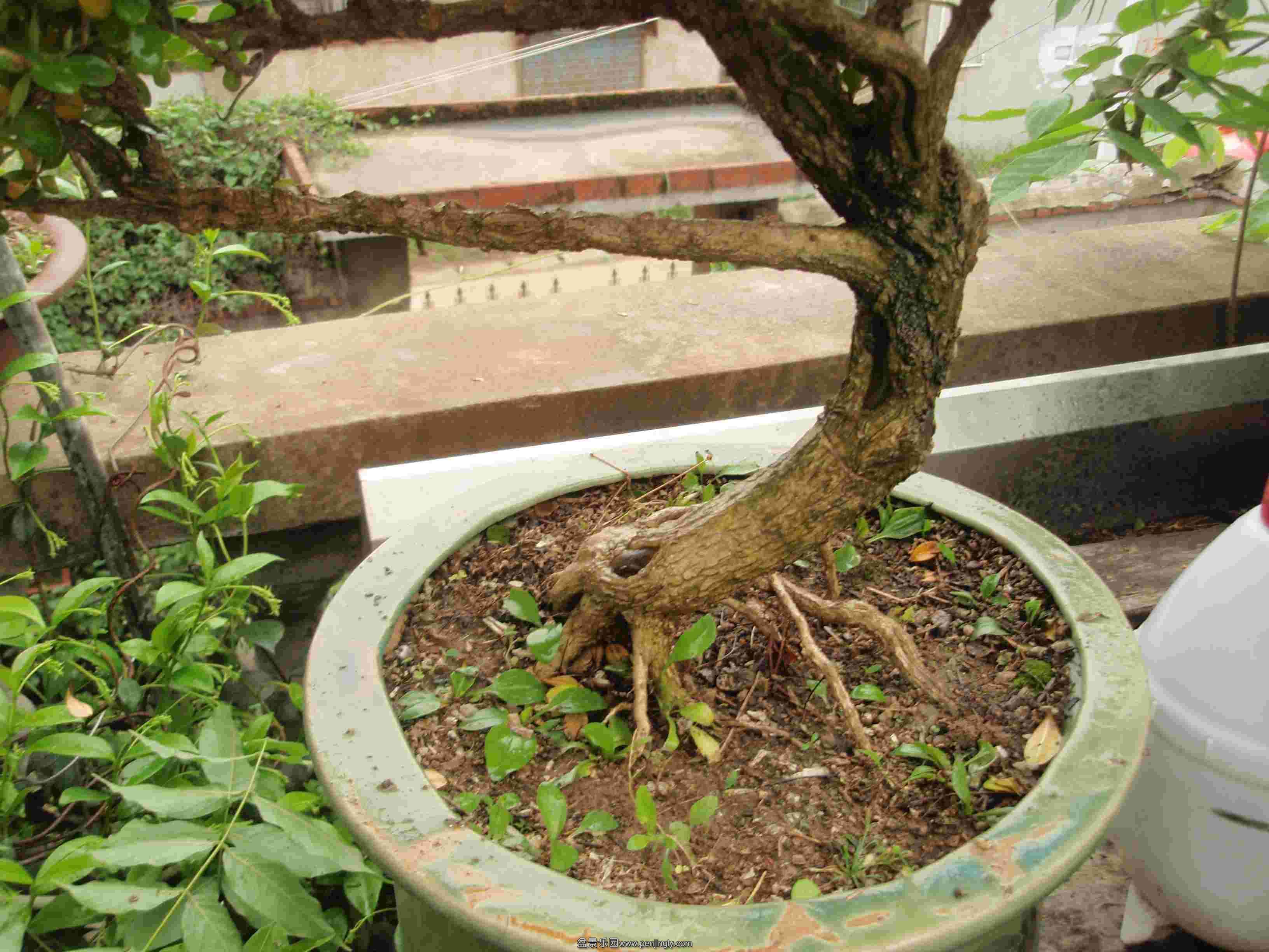 P1010042.JPG