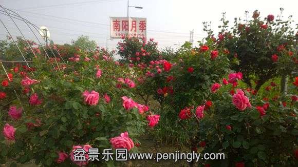 90eea0ec08fa513dc59c1087386d55fbb2fbd912.jpg