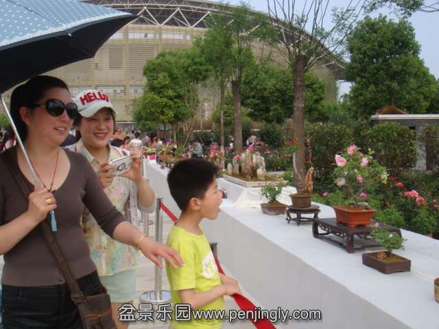 DSC09534.JPG
