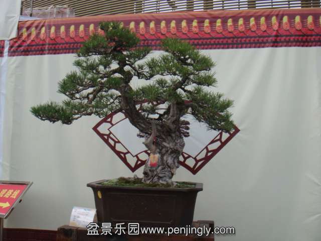 DSC09542.JPG