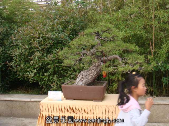 DSC09548.JPG