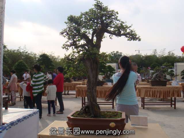 DSC09557.JPG