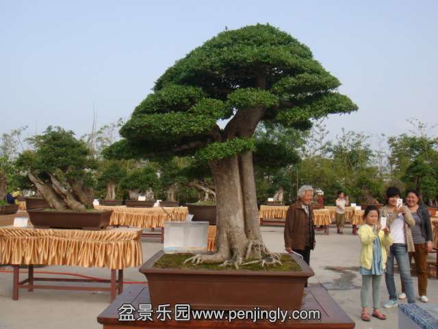 DSC09570.JPG