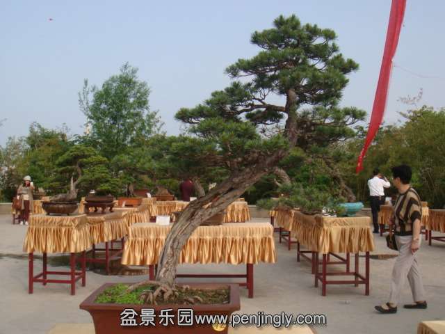 DSC09572.JPG