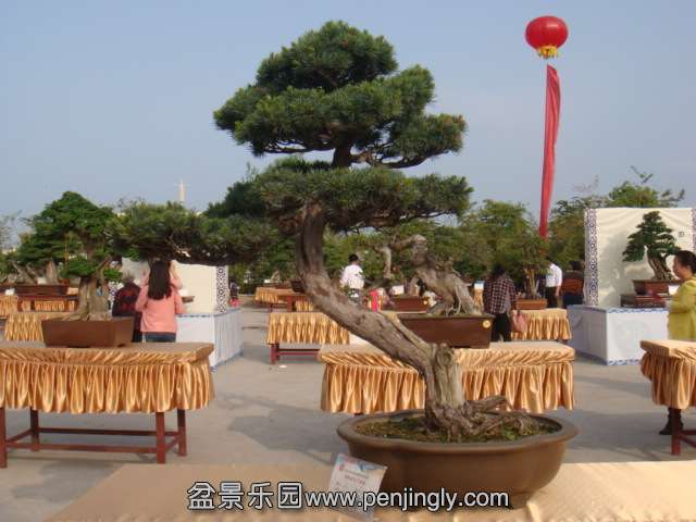 DSC09575.JPG
