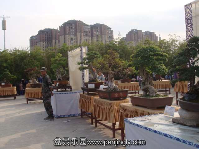 DSC09586.JPG