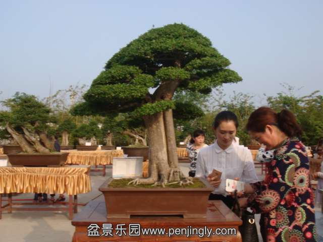 DSC09600.JPG