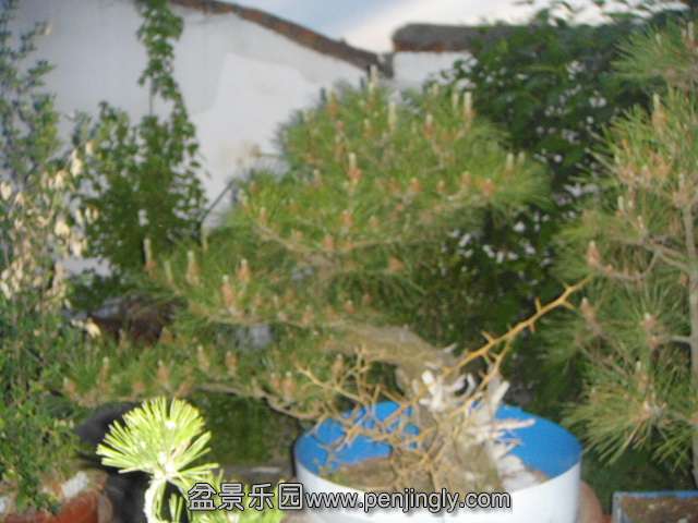 DSC00813.JPG