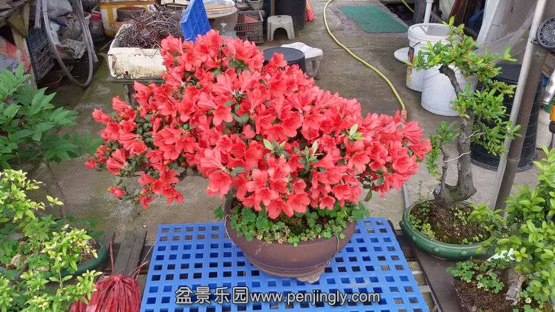 20150430_073007.jpg