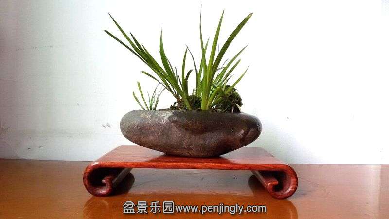 QQͼƬ20150425092103.jpg