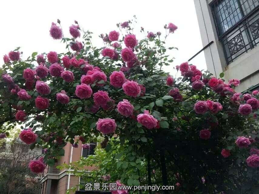 QQͼƬ20150507073306.jpg