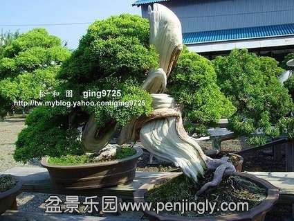 0b7b02087bf40ad122a413ff542c11dfa9ecce6e.jpg