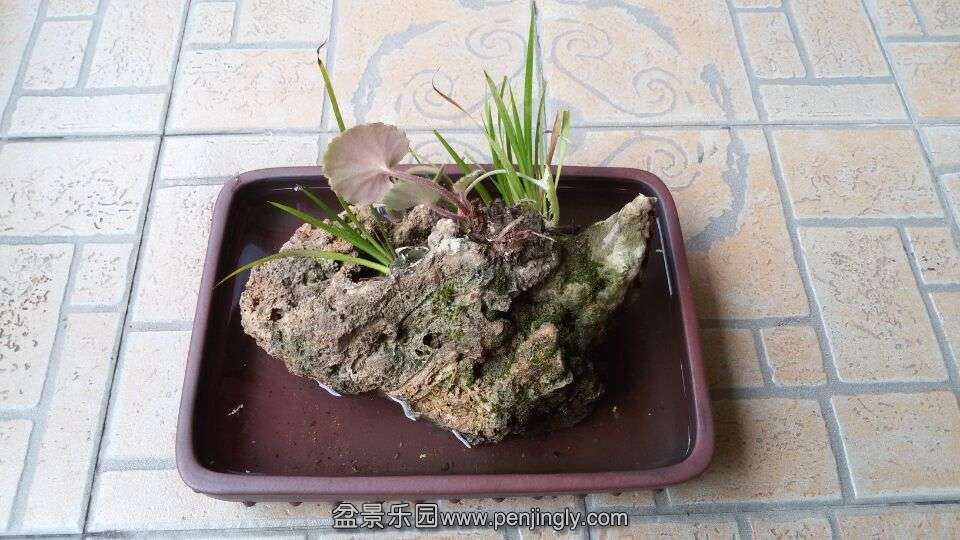 QQͼƬ20150504080759.jpg