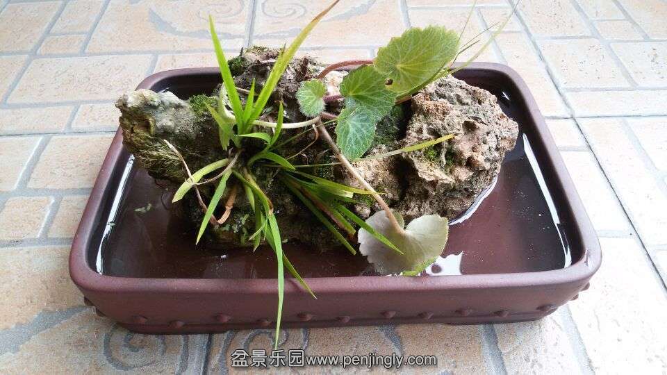 QQͼƬ20150504080811.jpg