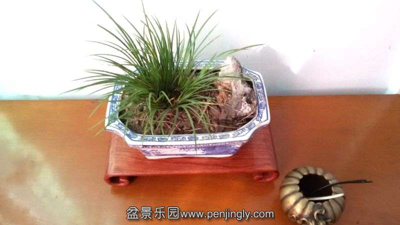 QQͼƬ20150428075736-001.jpg