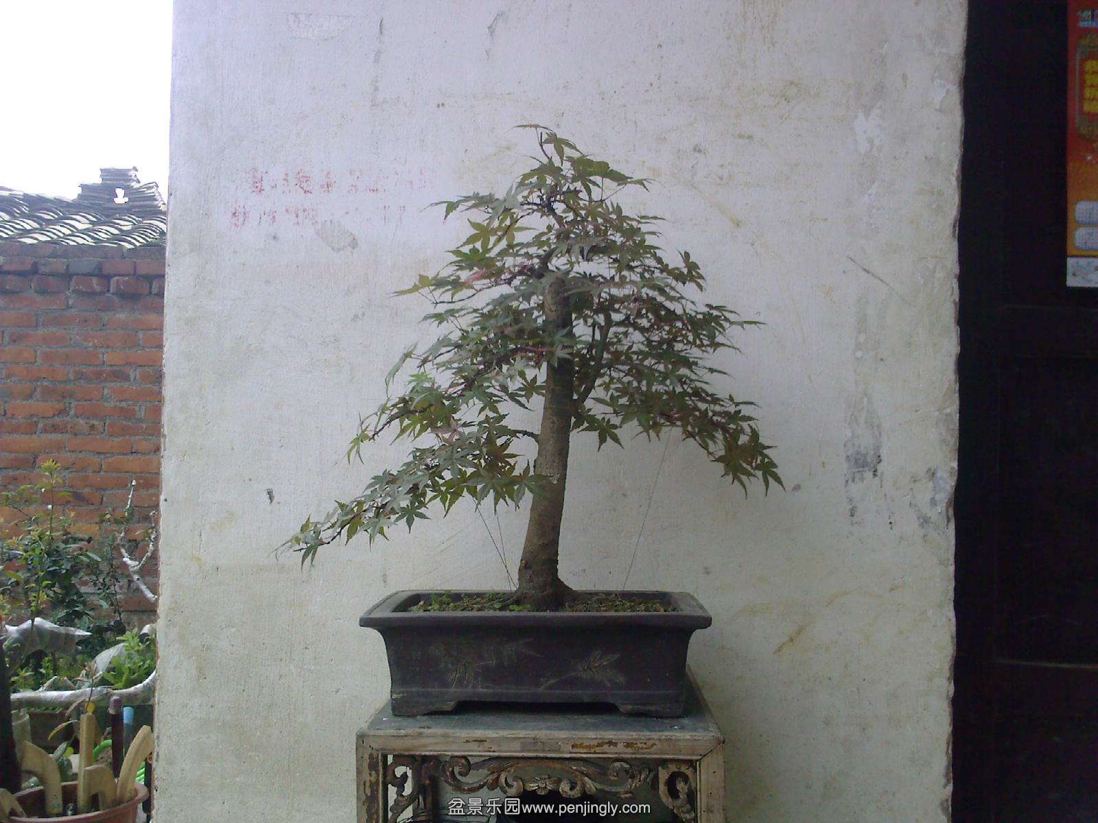 20150504113711.jpg