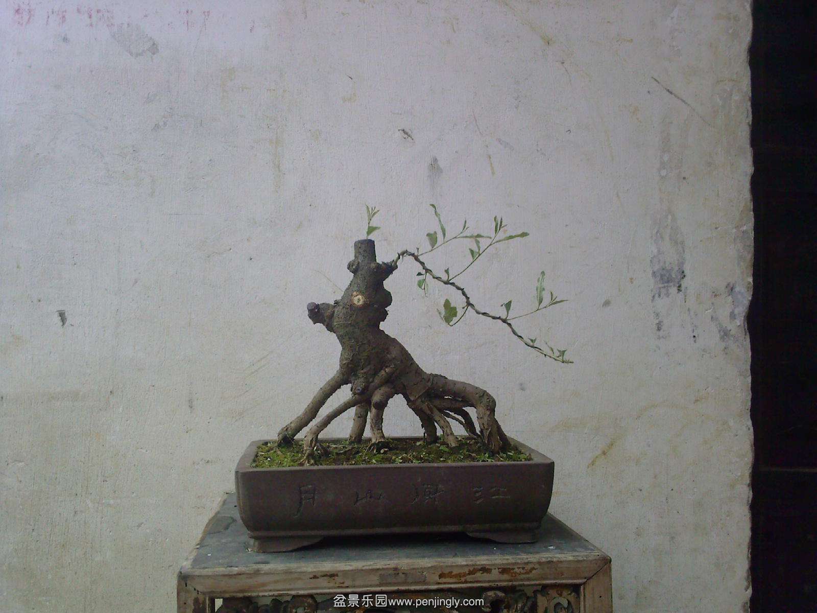 20150507114432.jpg