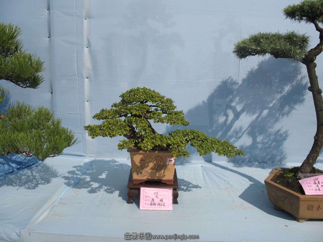 0e336159252dd42a8009e50c033b5bb5c9eab82b.jpg