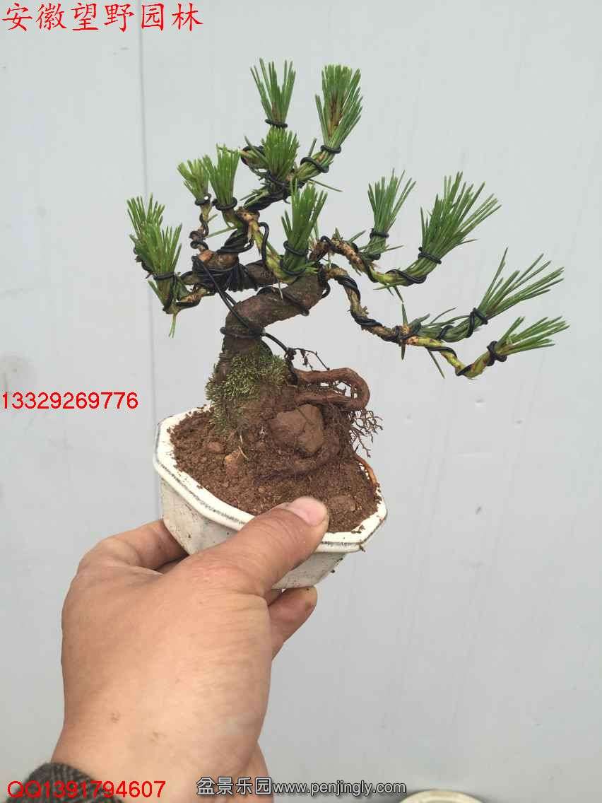 02EBCD7284441880D0744DD94D82F2F0.jpg
