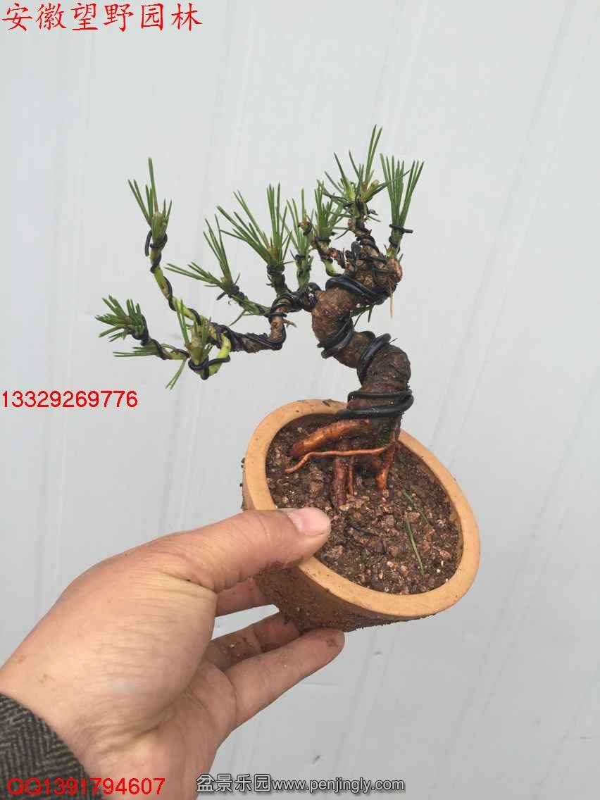 23BDAC881CDAF9BC308E1DA13E23D00D.jpg