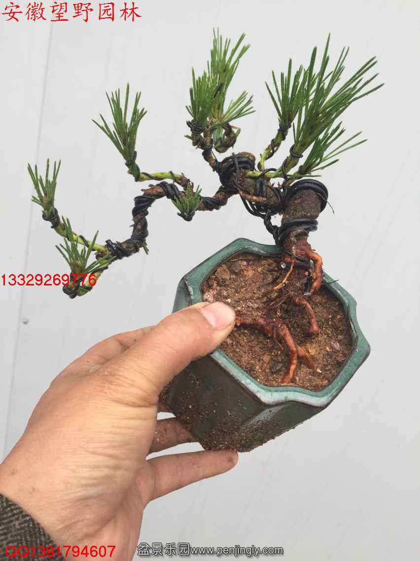 B5FC5A147DBED2E6349BCCA70B783BA7.jpg