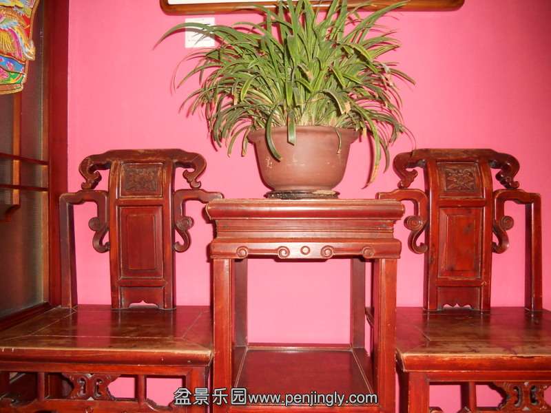 DSCN2120.jpg