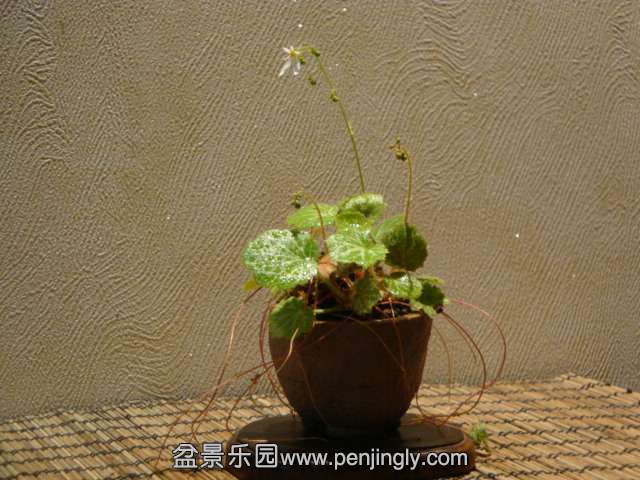 DSC00828.JPG