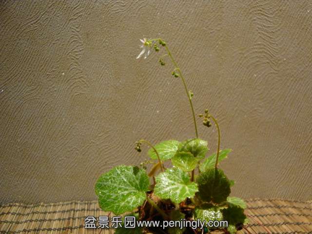 DSC00829.JPG