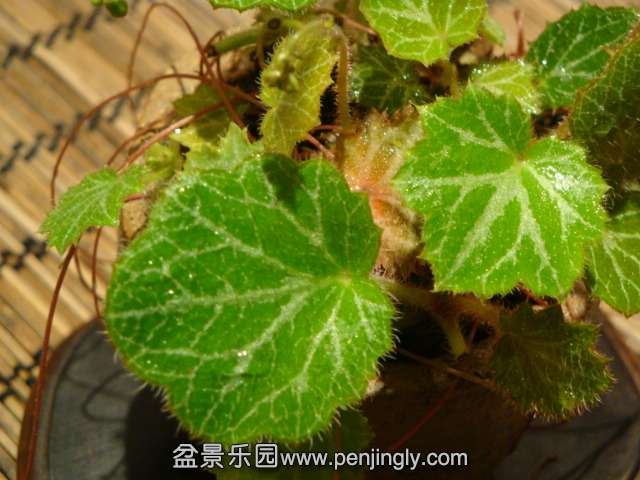 DSC00830.JPG
