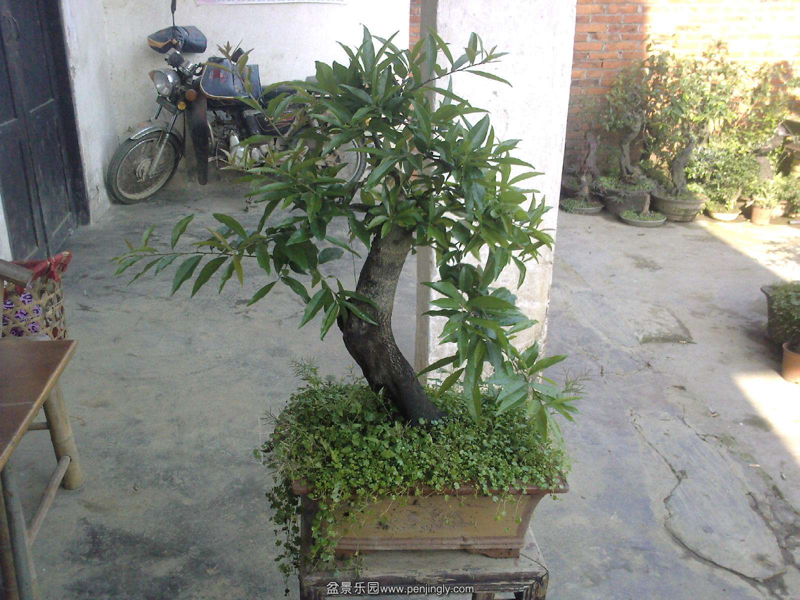20150510084152.jpg